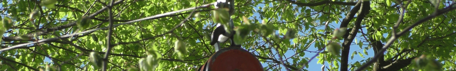 le palan est supporté par la nouvelle poulie | Cliquer pour agrandir Photo qui montre le palan est supporté par la nouvelle poulie | Cliquer pour agrandir