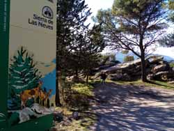 Parc naturel de la Sierra de Las Nieves.