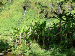 Photo de l'Anse des Cascades à l'île de La Réunion