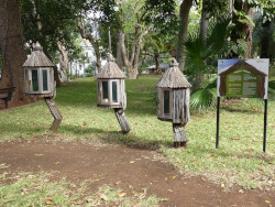 Photo des Jardins de l'État dans l'île de La Réunion