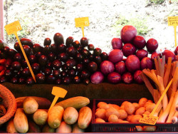 Photo du marché Saint-Paul dans l'île de La Réunion