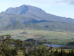 Photo de La Plaine des Cafres dans l'île de La Réunion