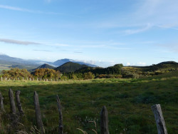 Photo non loin de la Plaine des Cafres dans l'île de La Réunion