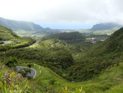 Photo de La Plaine des Palmistes dans l'île de La Réunion