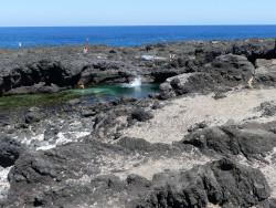 Photo de La Pointe aux sels dans l'île de La Réunion