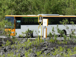 Photo du bus à  Sainte-Roses dans l'île de La Réunion