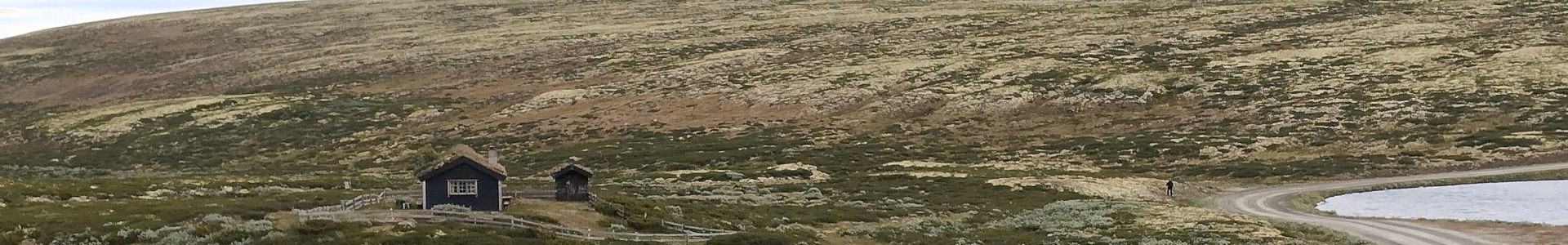 Photo qui montre La Norvège sauvage du parc de Rondane | Cliquer pour agrandir