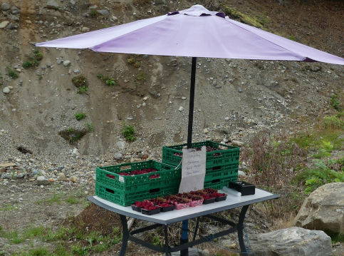 Photo of Fruit stalls in Urnes | click to enlarge