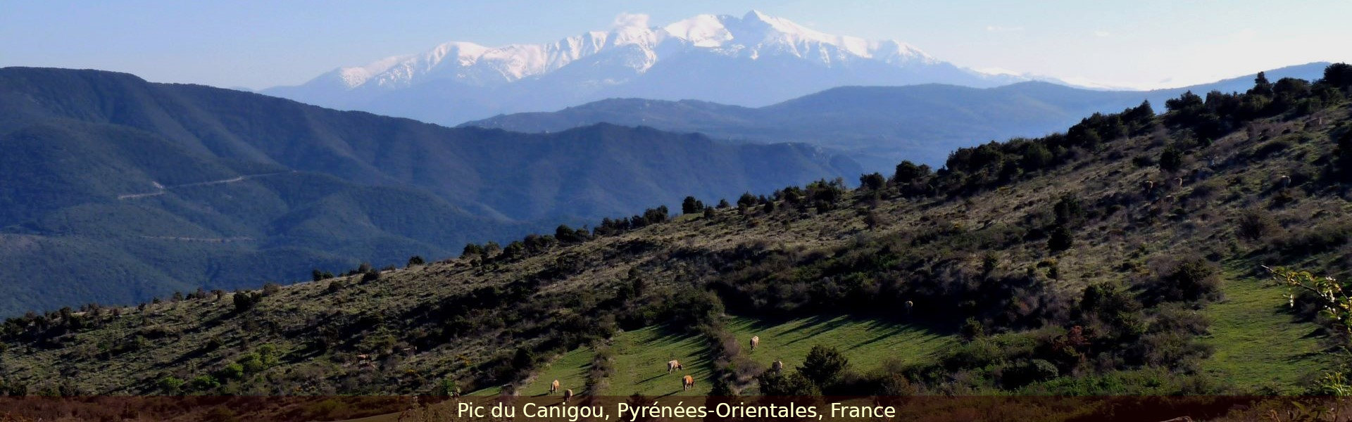 Pic du Canigou, Pyrénées-Orientales, France