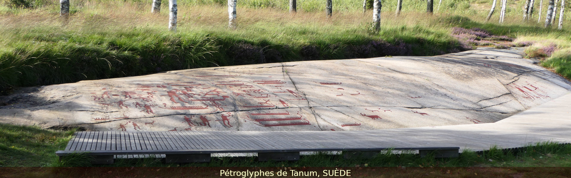 Pétroglyphes de Tanum, SUÈDE